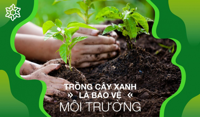 cay-xanh-0004
