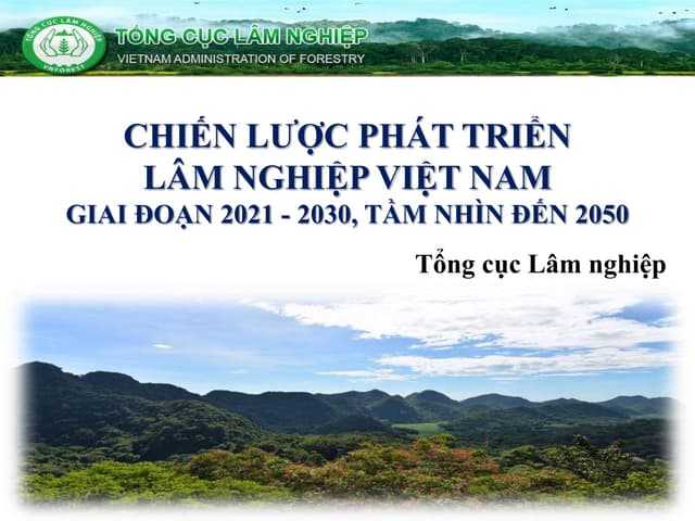 Chiến lược phát triển lâm nghiệp Việt Nam giai đoạn 2021-2030