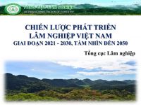 Chiến lược phát triển lâm nghiệp Việt Nam giai đoạn 2021-2030