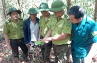 Giữ rừng vùng giáp ranh