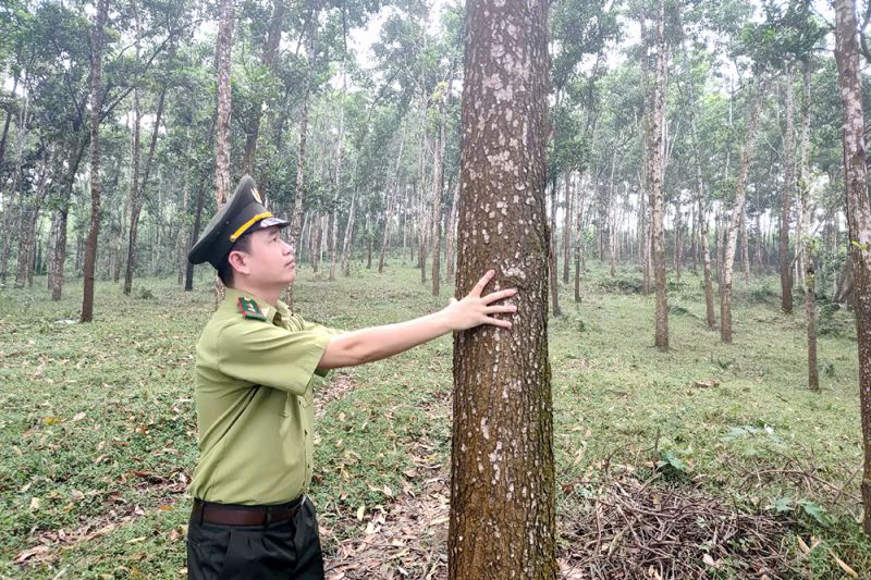 Giải pháp cho tương lai xanh