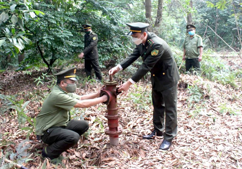 Tăng cường phòng, chống cháy rừng