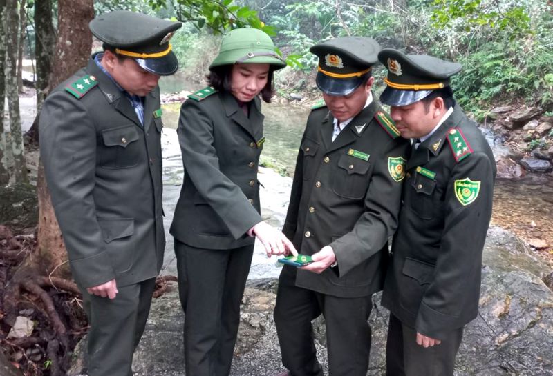 Phát triển lâm nghiệp theo hướng bền vững