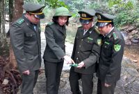 Phát triển lâm nghiệp theo hướng bền vững